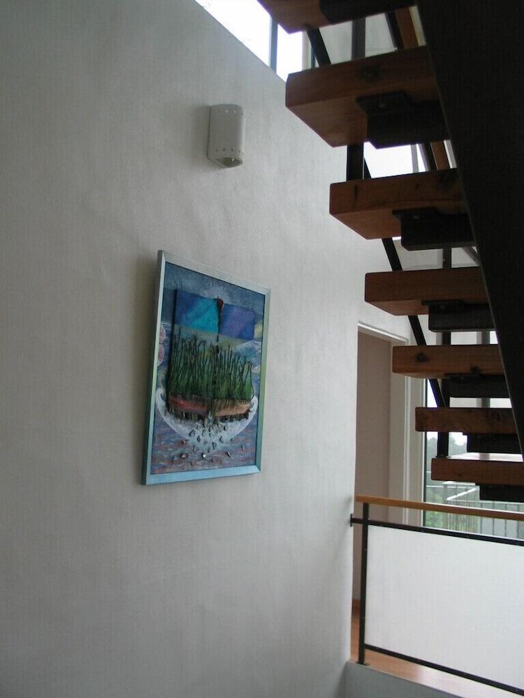 Allegra House Paihia Dış mekan fotoğraf