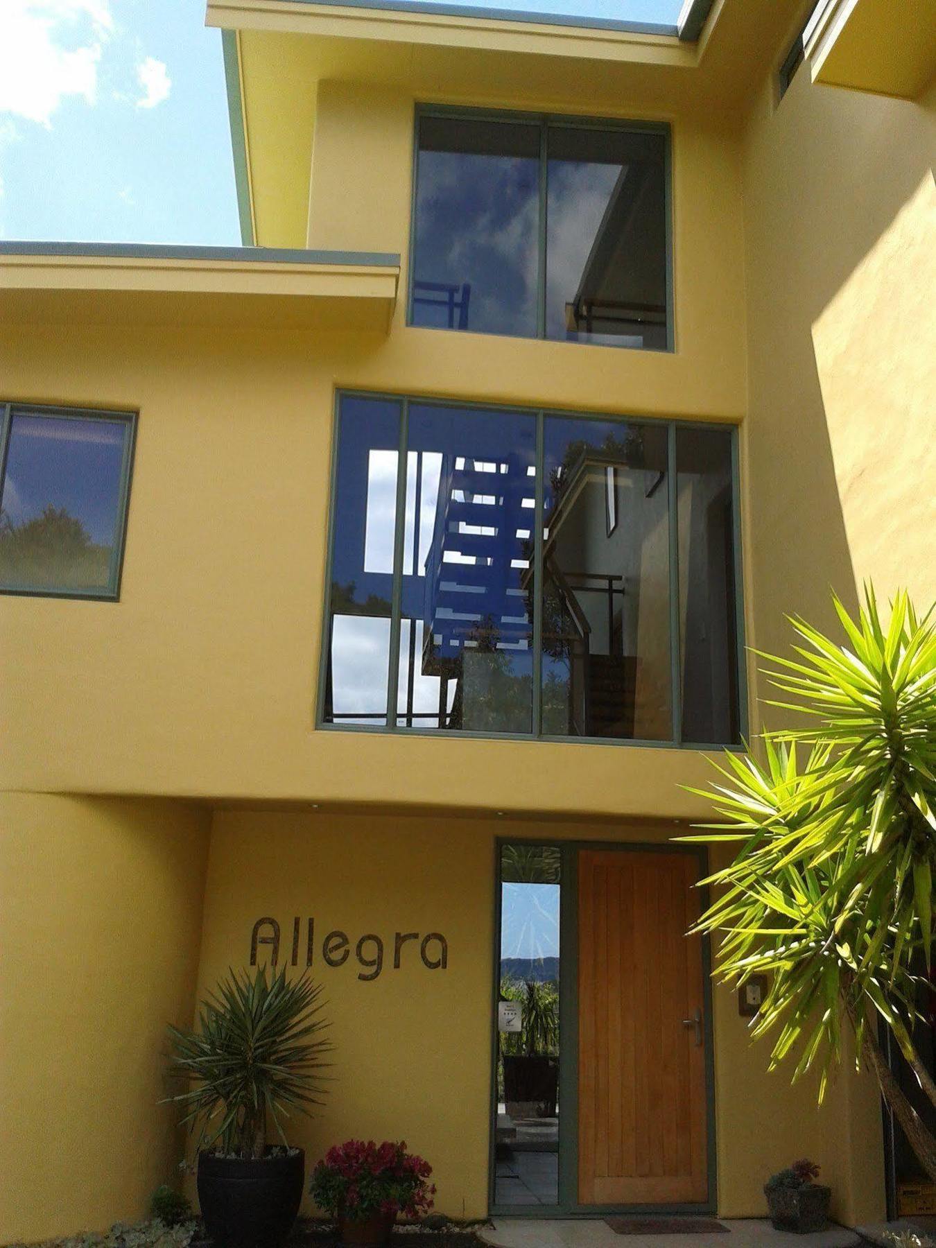 Allegra House Paihia Dış mekan fotoğraf