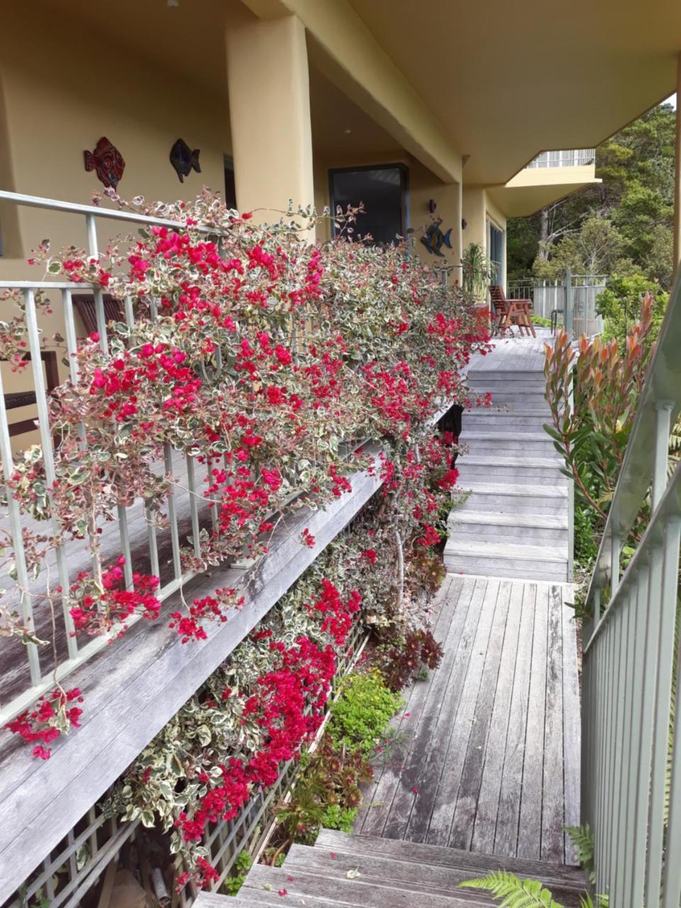 Allegra House Paihia Dış mekan fotoğraf